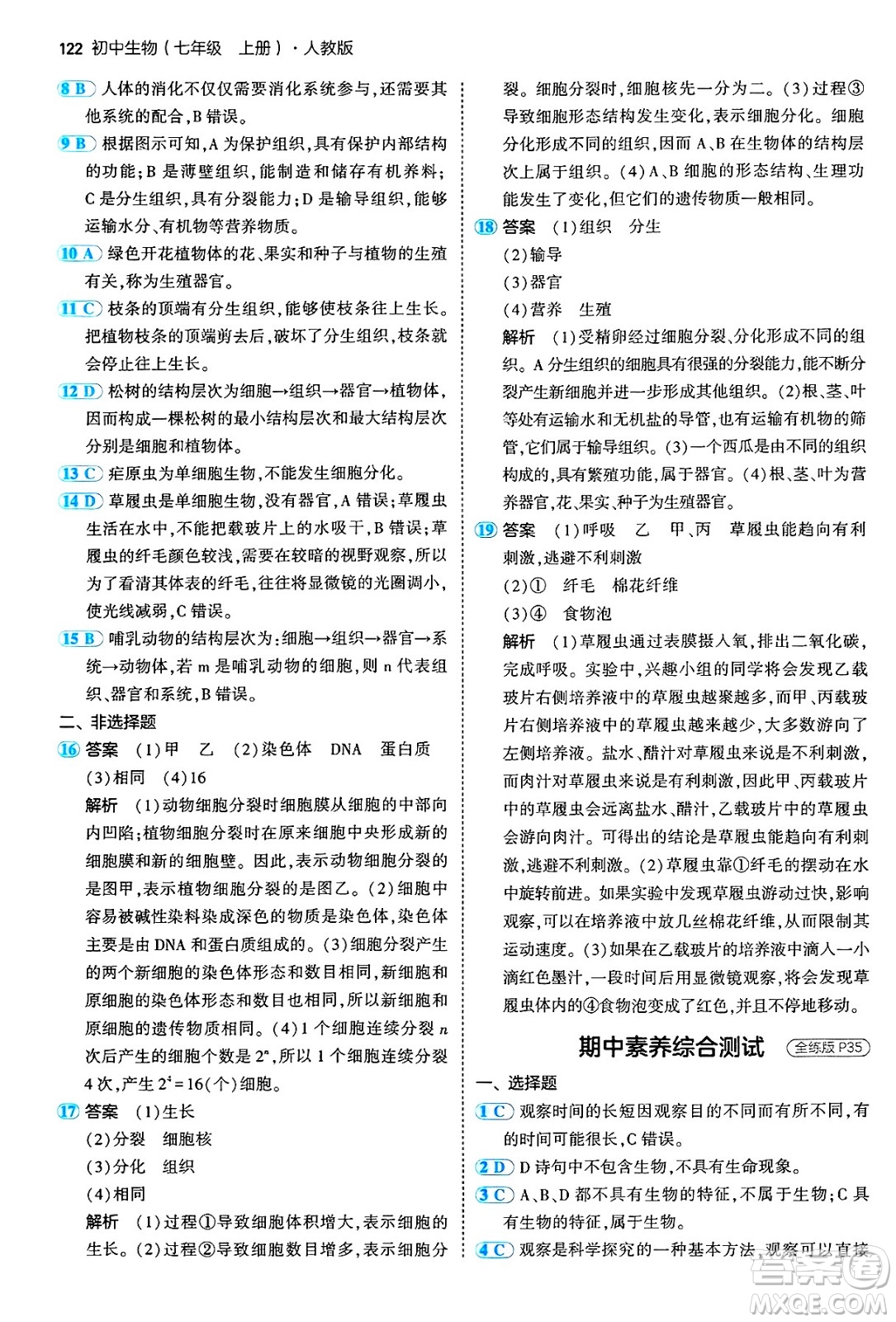 四川大學(xué)出版社2024年秋初中同步5年中考3年模擬七年級(jí)生物上冊(cè)人教版答案