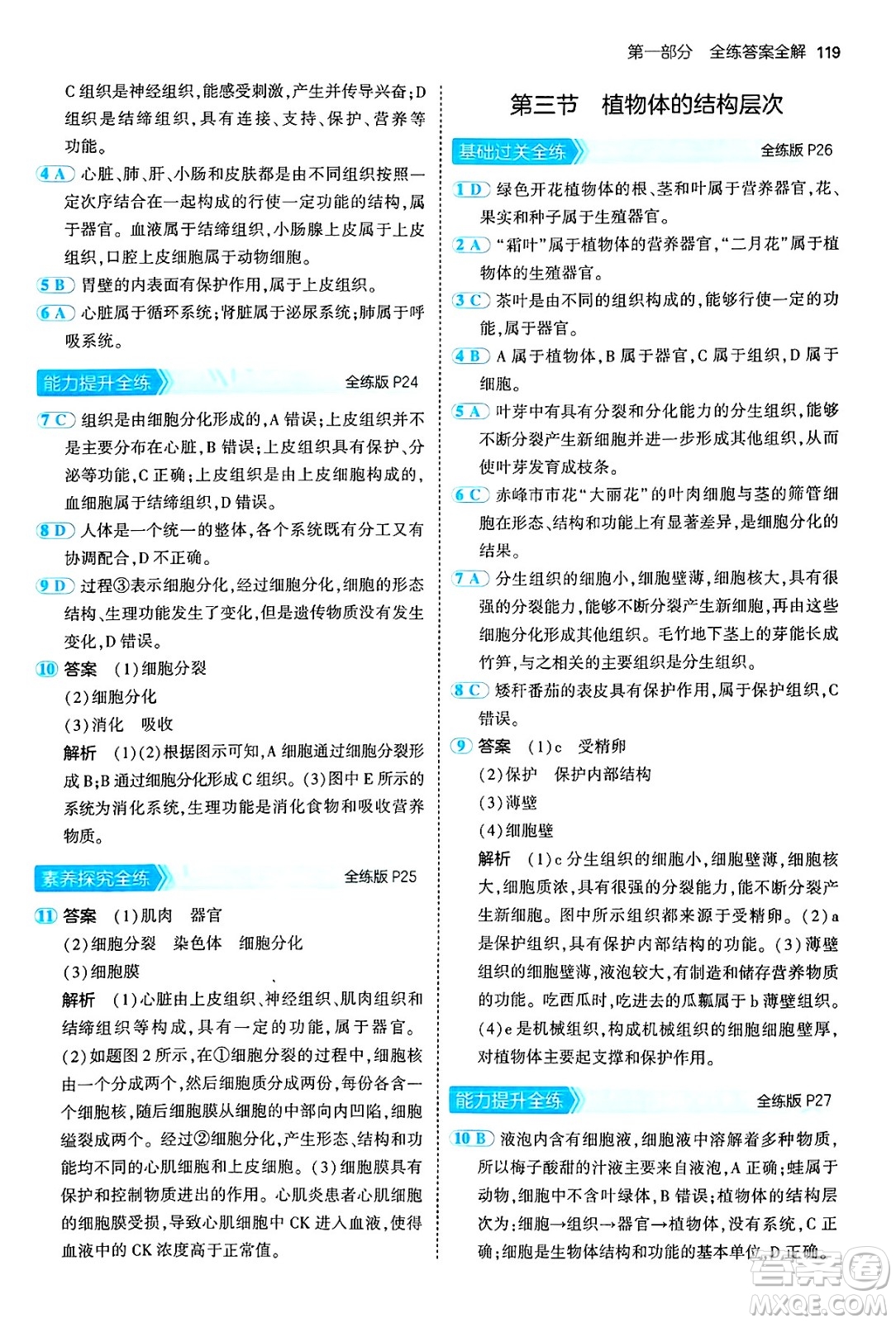 四川大學(xué)出版社2024年秋初中同步5年中考3年模擬七年級(jí)生物上冊(cè)人教版答案