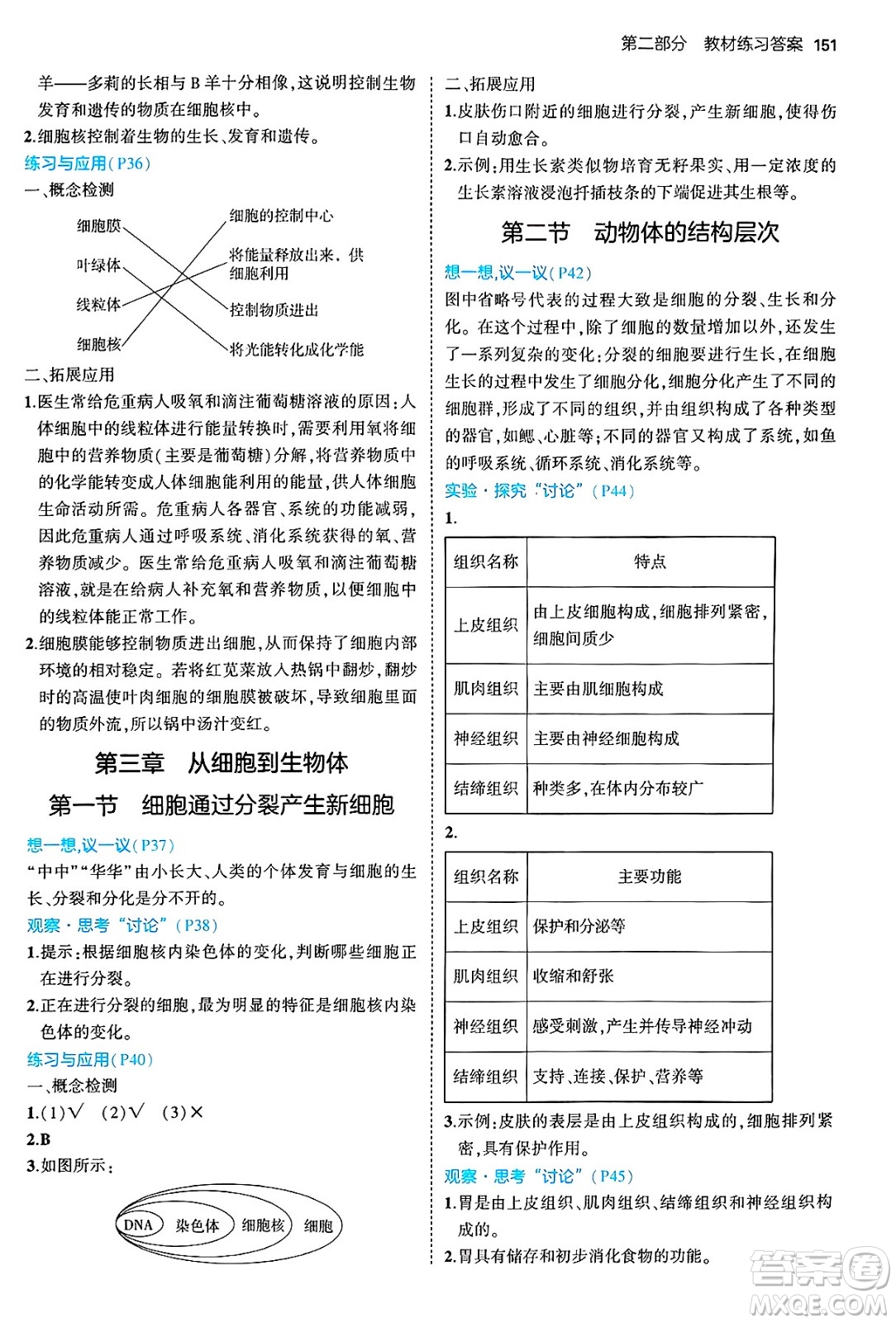 四川大學(xué)出版社2024年秋初中同步5年中考3年模擬七年級(jí)生物上冊(cè)人教版答案