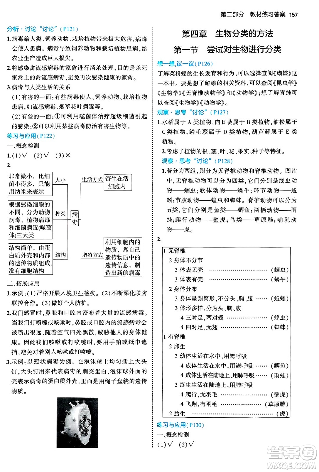 四川大學(xué)出版社2024年秋初中同步5年中考3年模擬七年級(jí)生物上冊(cè)人教版答案