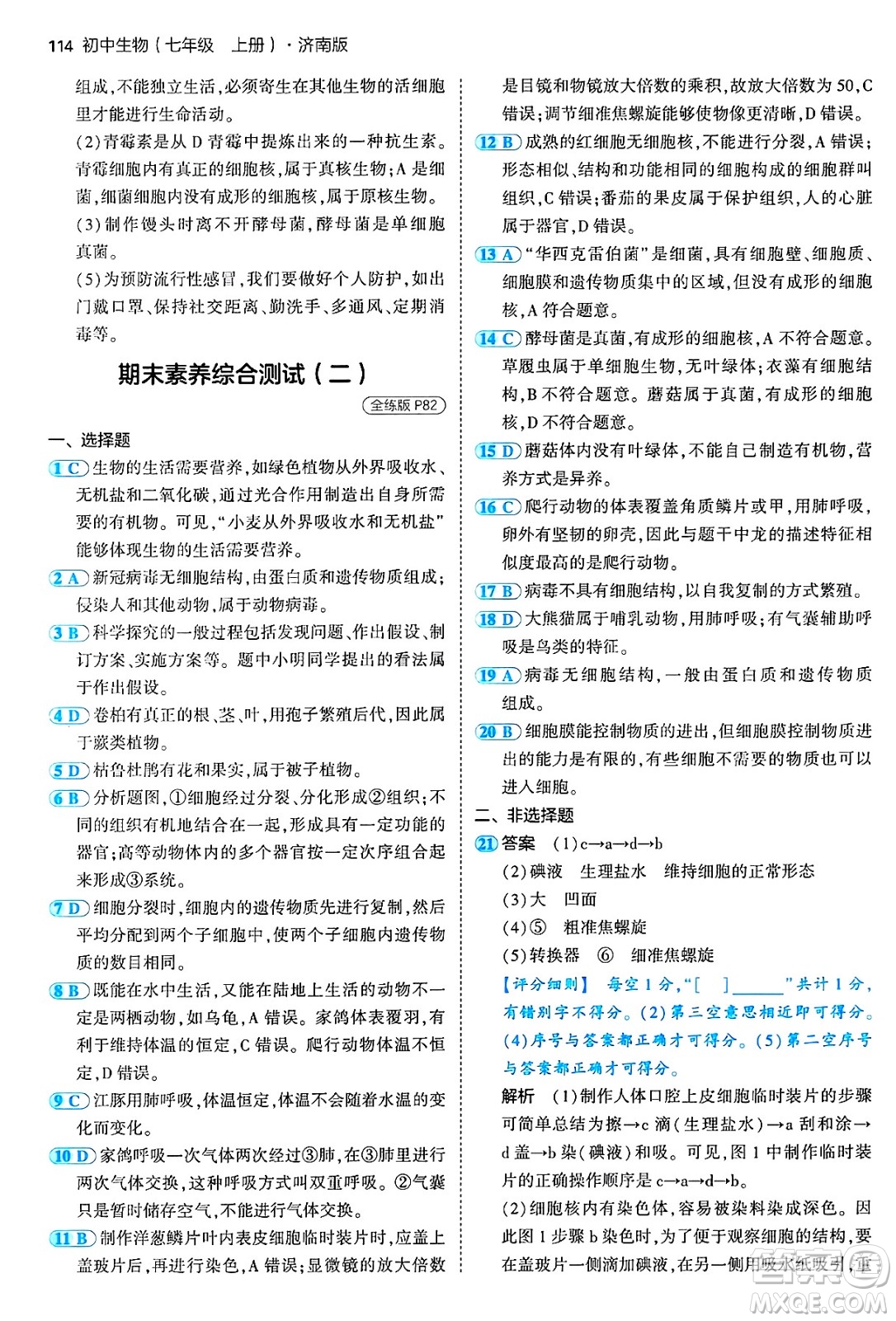 四川大學(xué)出版社2024年秋初中同步5年中考3年模擬七年級(jí)生物上冊濟(jì)南版答案