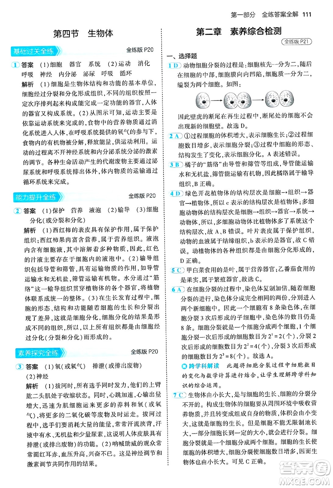 四川大學(xué)出版社2024年秋初中同步5年中考3年模擬七年級(jí)生物上冊(cè)冀少版答案