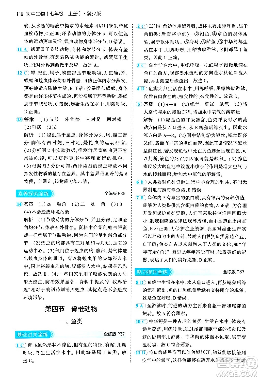 四川大學(xué)出版社2024年秋初中同步5年中考3年模擬七年級(jí)生物上冊(cè)冀少版答案