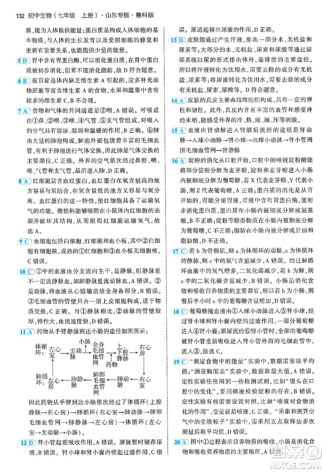 首都師范大學(xué)出版社2024年秋初中同步5年中考3年模擬七年級生物上冊魯科版山東專版答案