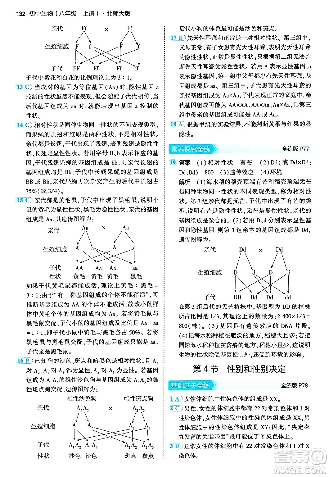 四川大學(xué)出版社2024年秋初中同步5年中考3年模擬八年級(jí)生物上冊(cè)北師大版答案