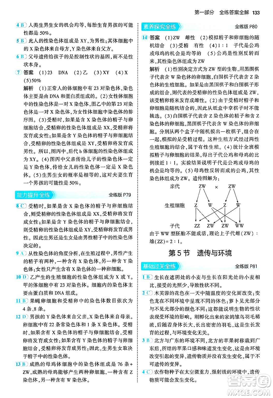 四川大學(xué)出版社2024年秋初中同步5年中考3年模擬八年級(jí)生物上冊(cè)北師大版答案