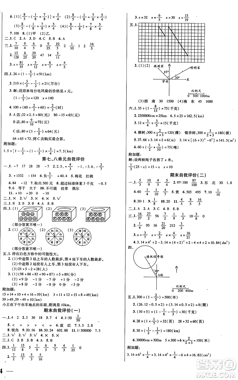 陽光出版社2024年秋揚帆文化激活思維智能訓(xùn)練六年級數(shù)學(xué)上冊西師版答案