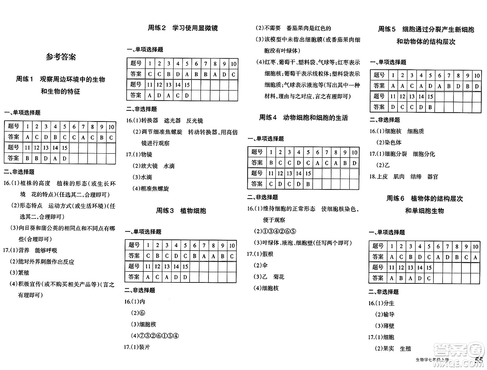 新疆青少年出版社2024年秋優(yōu)學1+1評價與測試七年級生物上冊通用版答案