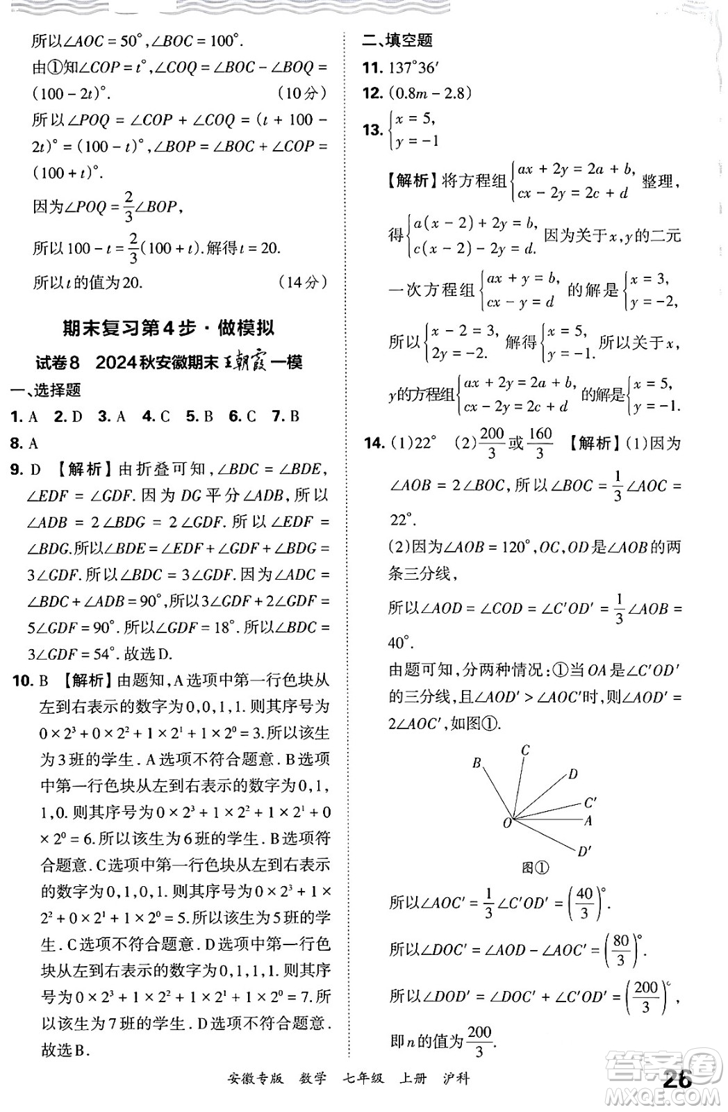 江西人民出版社2024年秋王朝霞各地期末試卷精選七年級數(shù)學(xué)上冊滬科版安徽專版答案