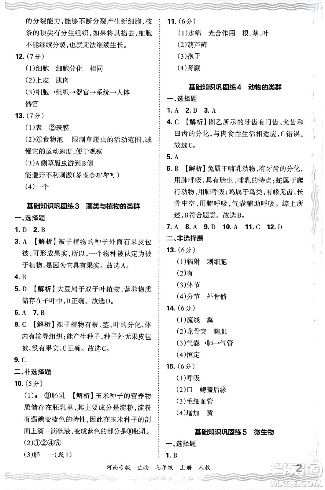 江西人民出版社2024年秋王朝霞各地期末試卷精選七年級(jí)生物上冊(cè)人教版河南專版答案