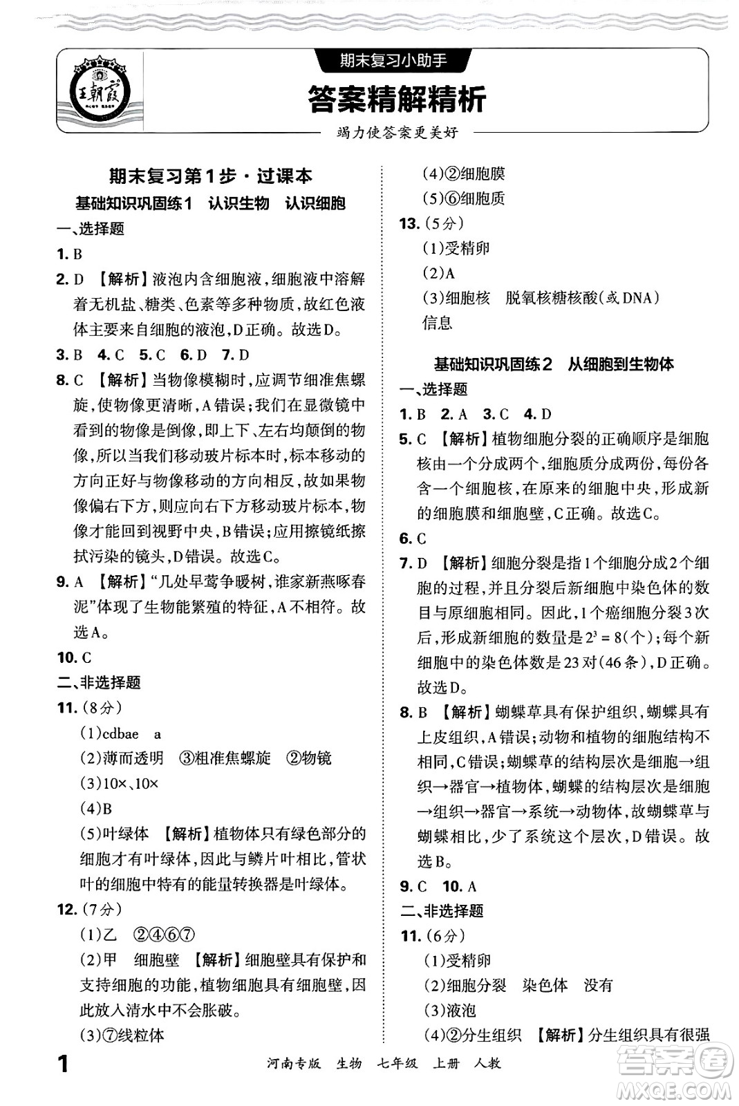 江西人民出版社2024年秋王朝霞各地期末試卷精選七年級(jí)生物上冊(cè)人教版河南專版答案