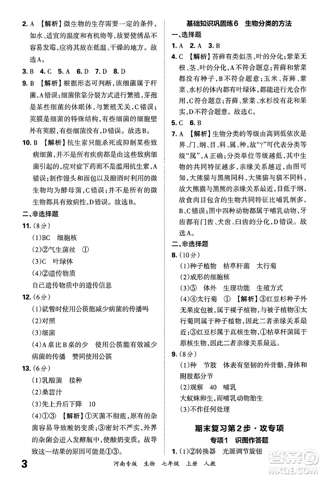 江西人民出版社2024年秋王朝霞各地期末試卷精選七年級(jí)生物上冊(cè)人教版河南專版答案