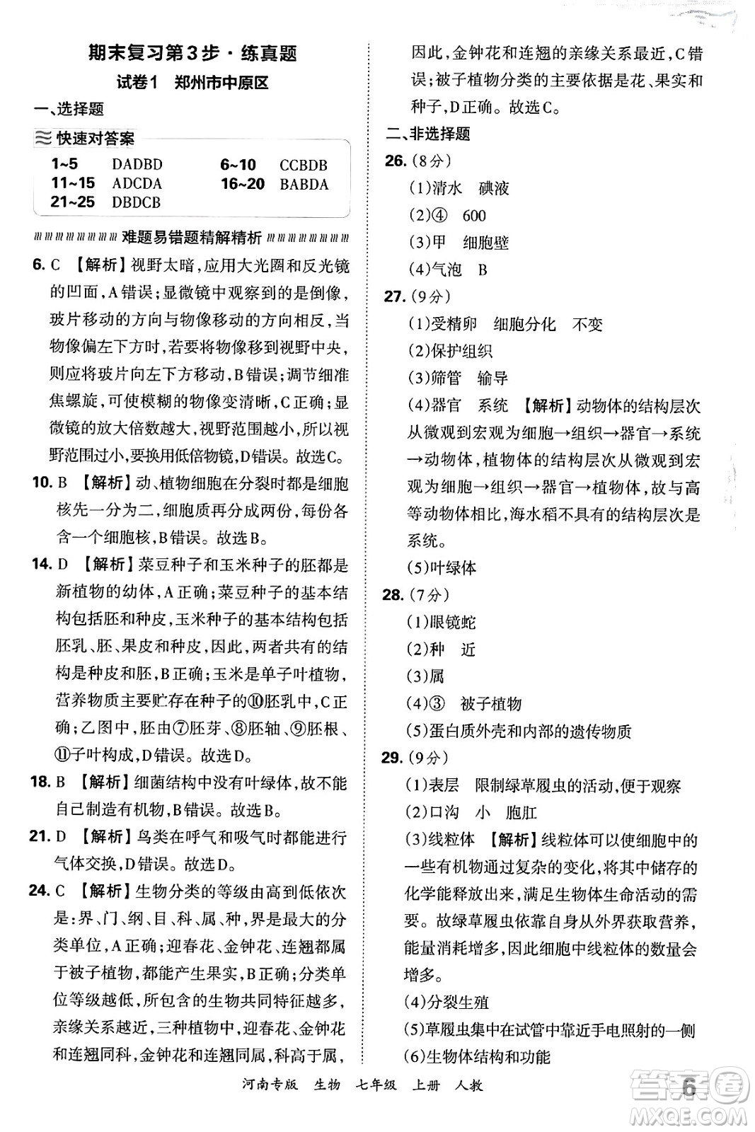 江西人民出版社2024年秋王朝霞各地期末試卷精選七年級(jí)生物上冊(cè)人教版河南專版答案