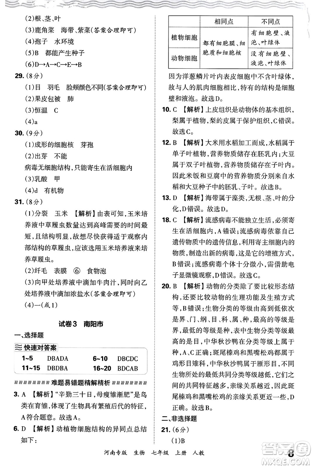 江西人民出版社2024年秋王朝霞各地期末試卷精選七年級(jí)生物上冊(cè)人教版河南專版答案