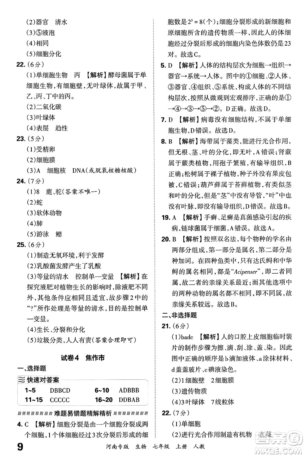 江西人民出版社2024年秋王朝霞各地期末試卷精選七年級(jí)生物上冊(cè)人教版河南專版答案