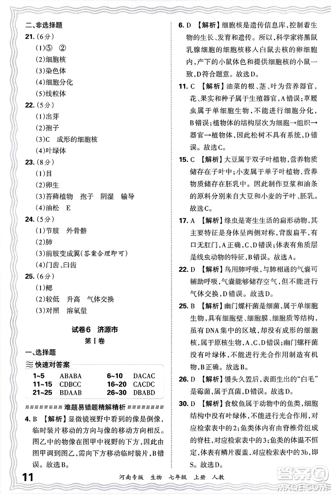 江西人民出版社2024年秋王朝霞各地期末試卷精選七年級(jí)生物上冊(cè)人教版河南專版答案