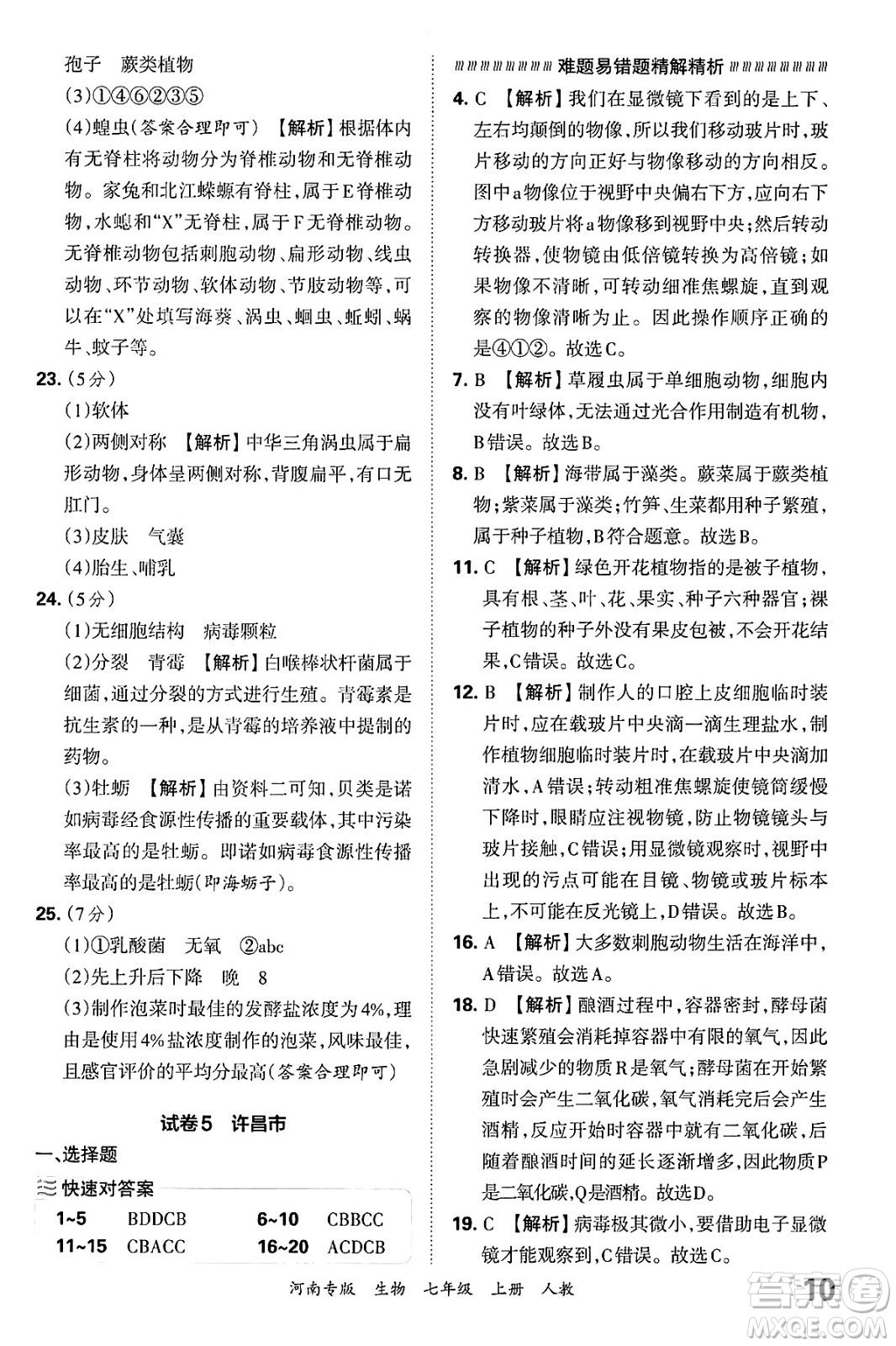 江西人民出版社2024年秋王朝霞各地期末試卷精選七年級(jí)生物上冊(cè)人教版河南專版答案