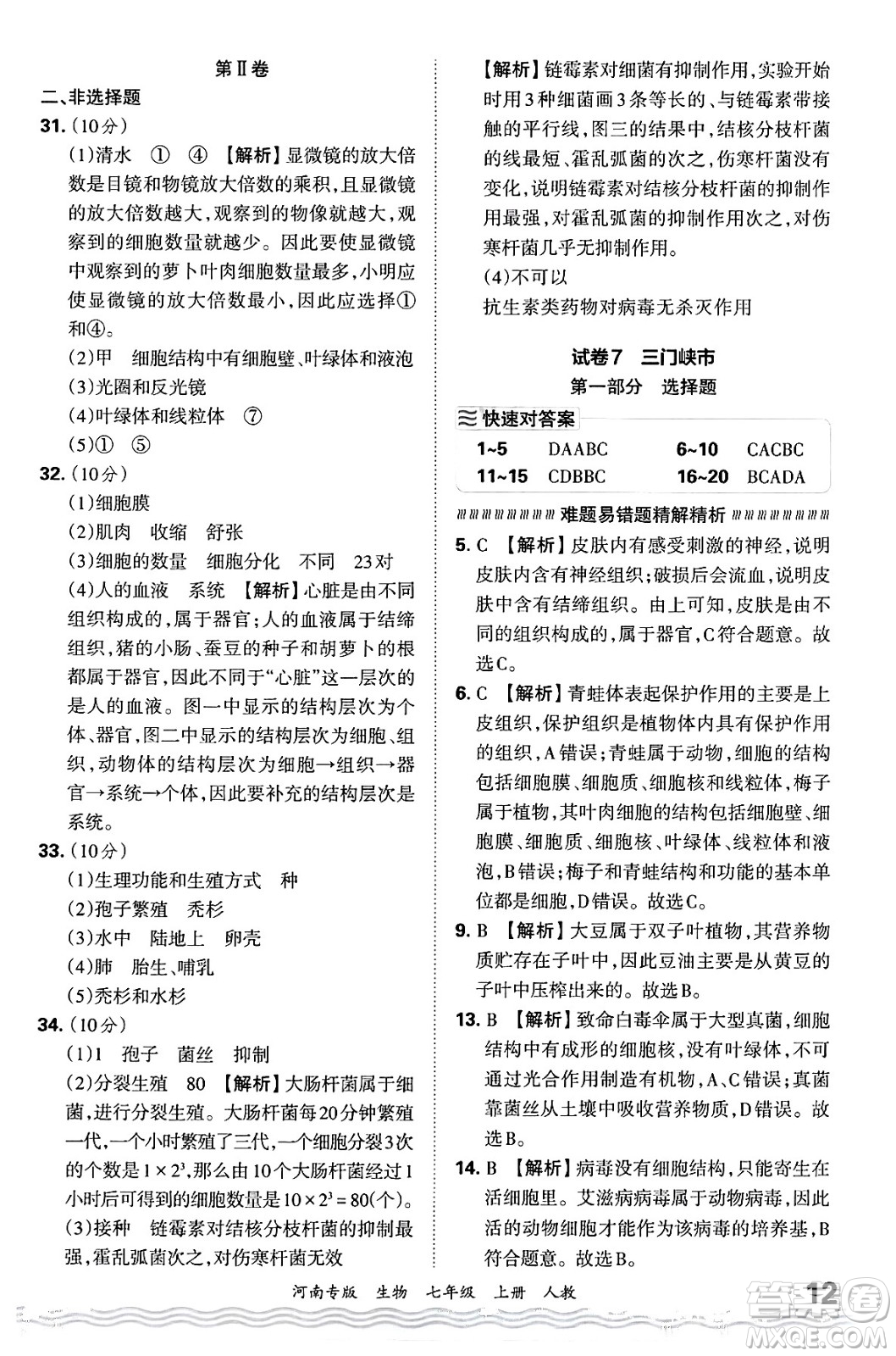 江西人民出版社2024年秋王朝霞各地期末試卷精選七年級(jí)生物上冊(cè)人教版河南專版答案