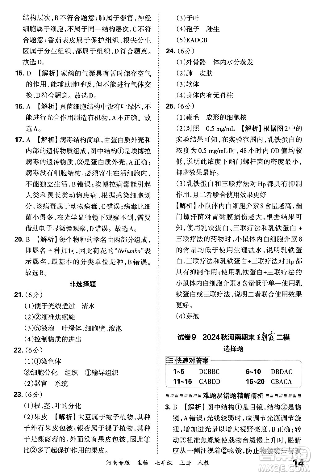 江西人民出版社2024年秋王朝霞各地期末試卷精選七年級(jí)生物上冊(cè)人教版河南專版答案