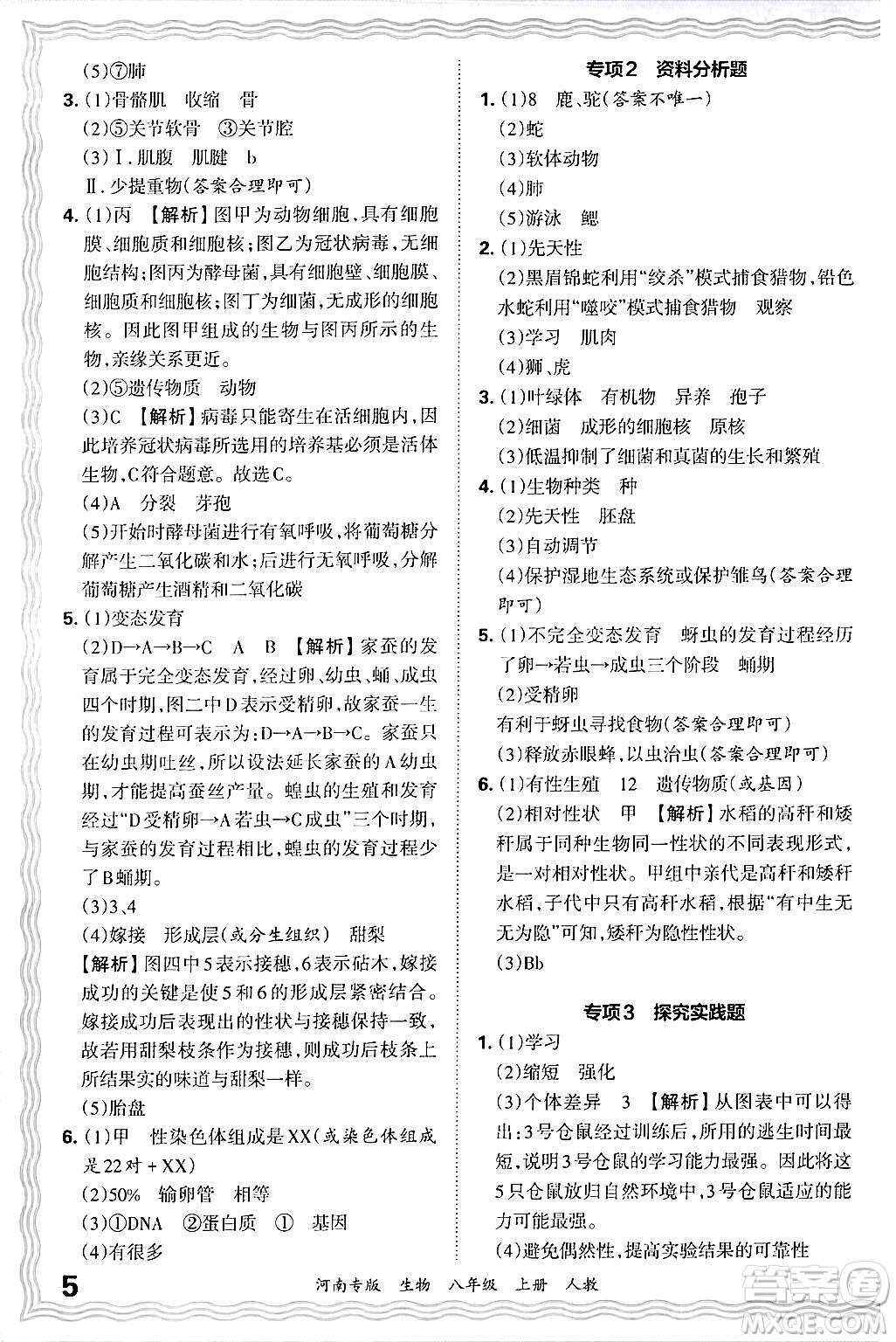 江西人民出版社2024年秋王朝霞各地期末試卷精選八年級生物上冊人教版河南專版答案