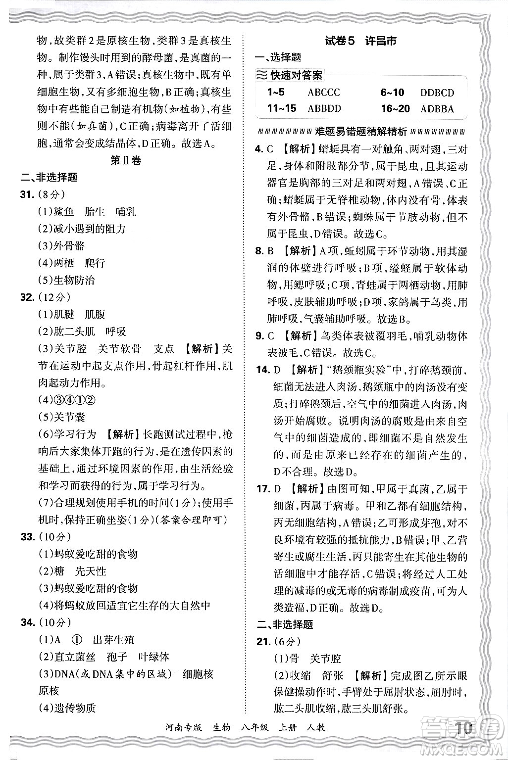 江西人民出版社2024年秋王朝霞各地期末試卷精選八年級生物上冊人教版河南專版答案