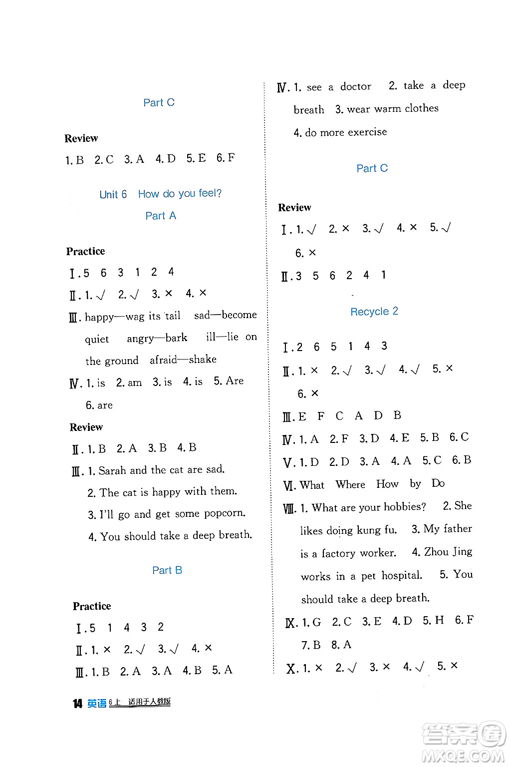 四川教育出版社2024年秋新課標(biāo)小學(xué)生學(xué)習(xí)實(shí)踐園地六年級英語上冊人教版三起點(diǎn)答案