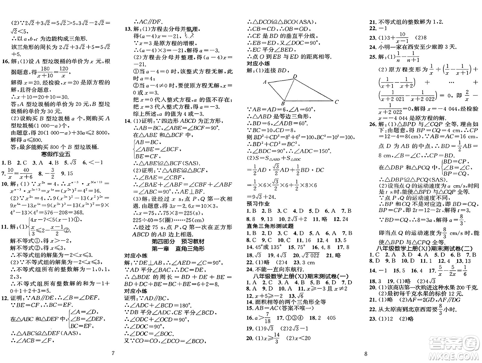 長江出版社2025年鑫浪傳媒給力100寒假作業(yè)八年級數(shù)學(xué)湘教版答案