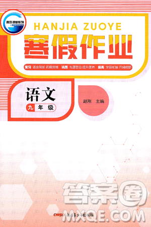 新疆青少年出版社2025年高效課堂系列寒假作業(yè)九年級語文通用版答案