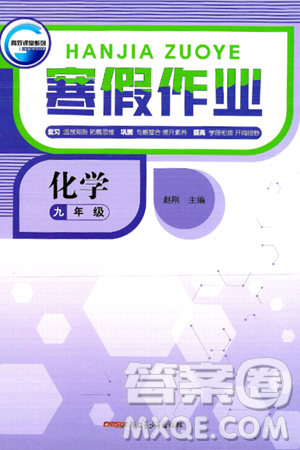 新疆青少年出版社2025年高效課堂系列寒假作業(yè)九年級(jí)化學(xué)通用版答案